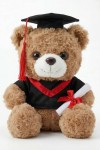 ours diplômé, peluche diplômé, cadeau fin d’études, souvenir remise de diplôme, ours toge diplômé, cadeau étudiant, peluche école, idée cadeau diplômé