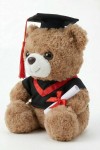 ours diplômé, peluche diplômé, cadeau fin d’études, souvenir remise de diplôme, ours toge diplômé, cadeau étudiant, peluche école, idée cadeau diplômé