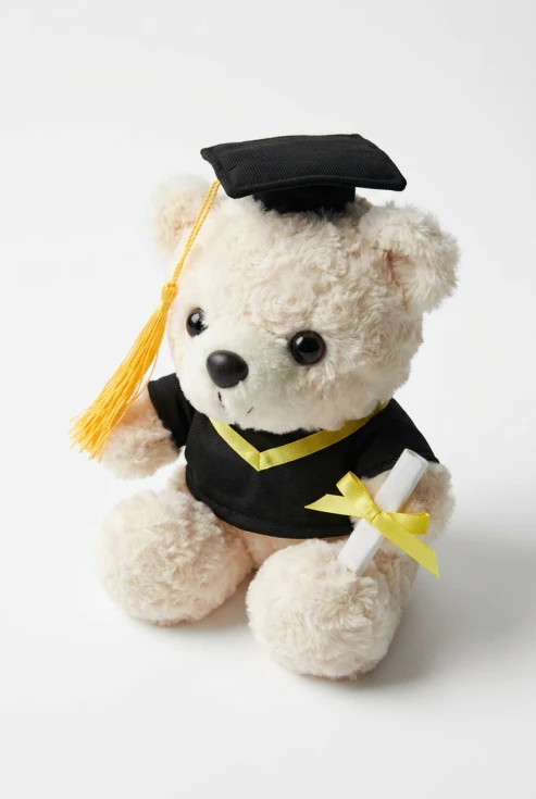 ourson de graduation, peluche fin d'études, cadeau remise de diplôme, souvenir graduation, ourson diplômé, cadeau fin d'études, zoya fashion