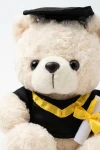 ourson de graduation, peluche fin d'études, cadeau remise de diplôme, souvenir graduation, ourson diplômé, cadeau fin d'études, zoya fashion