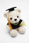 ourson de graduation, peluche fin d'études, cadeau remise de diplôme, souvenir graduation, ourson diplômé, cadeau fin d'études, zoya fashion