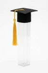 tube à diplôme, tube graduation, contenant bonbons diplôme, décoration remise de diplôme, lot tubes diplôme, fête de graduation, zoya fashion